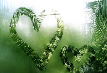 穗港澳贵足球邀请赛“开波”.